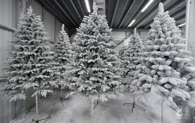 ПЕрвая статья