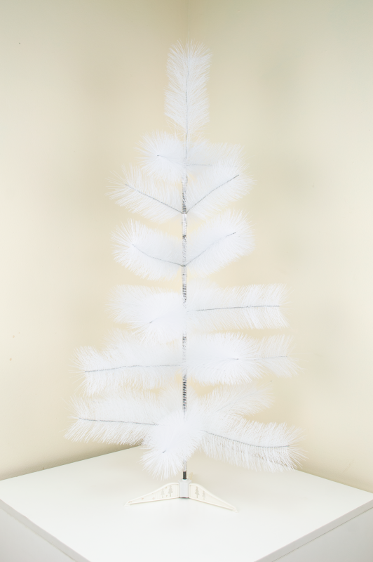 Сосна белая с шишками